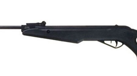 825175085_w1280_h1280_thunder_1